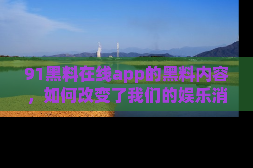 91黑料在线app的黑料内容,如何改变了我们的娱乐消费习惯?