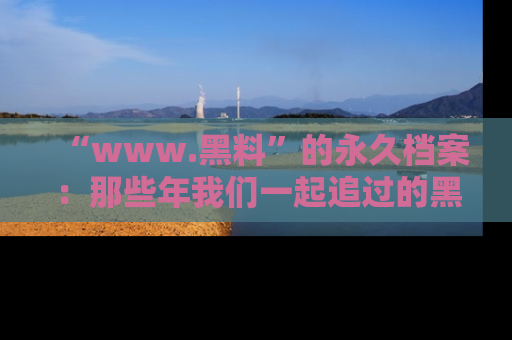 “www.黑料”的永久档案:那些年我们一起追过的黑料真相