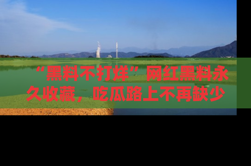“黑料不打烊”网红黑料永久收藏,吃瓜路上不再缺少惊喜与乐趣