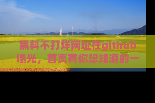 黑料不打烊网址在github曝光，首页有你想知道的一切幽默趣事，快来看看