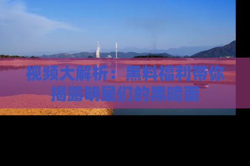 视频大解析:黑料福利带你揭露明星们的黑暗面