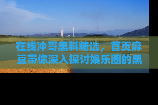 在线冲哥黑料精选,首页麻豆带你深入探讨娱乐圈的黑暗面
