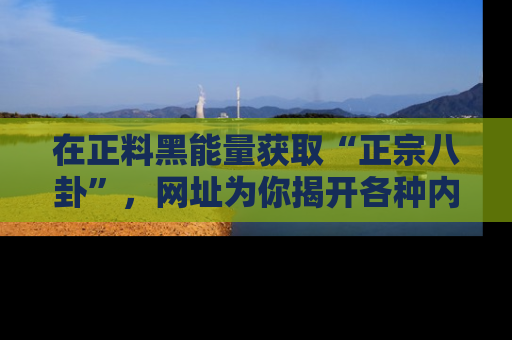 在正料黑能量获取“正宗八卦”,网址为你揭开各种内幕故事!