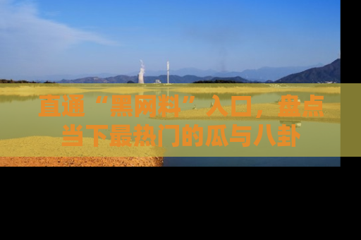 直通“黑网料”入口,盘点当下最热门的瓜与八卦